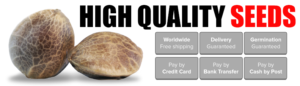 Banner for Weed Seeds Australia