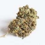 Marijuana Seeds Australia