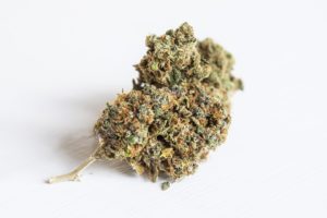 dried cannabis bud australia