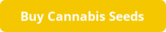 Button For Buying Weed Seeds in Australia
