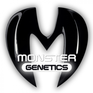 buy monster cannabis strains australia