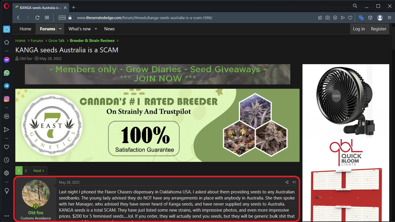 Kanga seeds review images 1