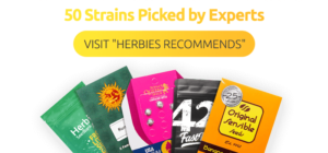 best of herbies head shop seeds