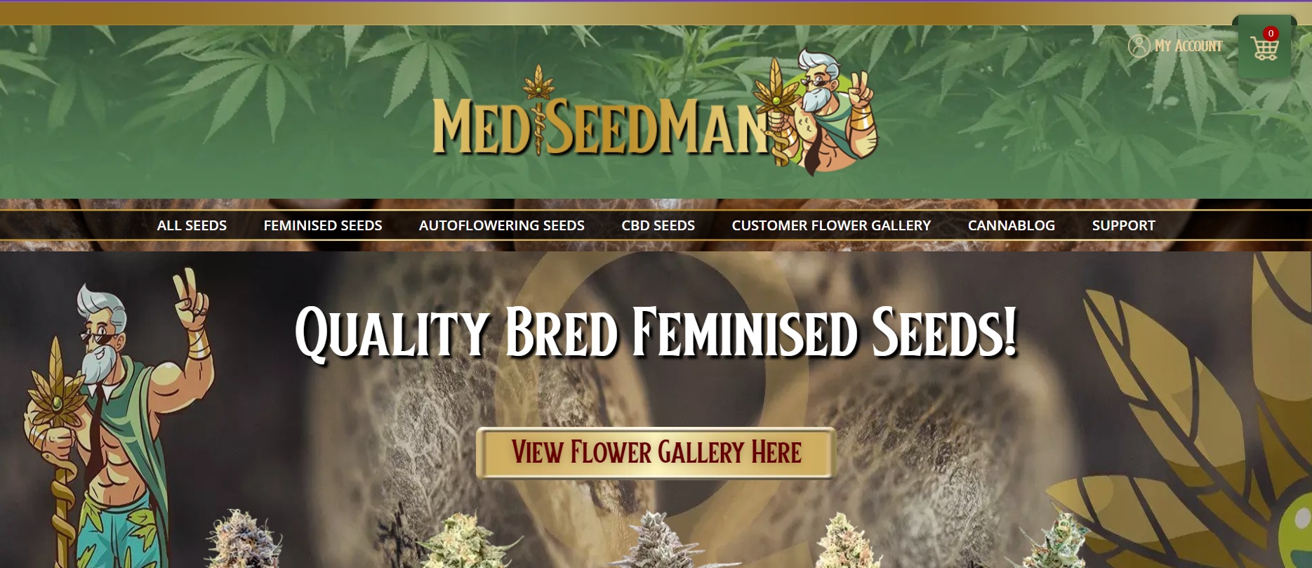 Main header of Mediseed Man Review for Australians
