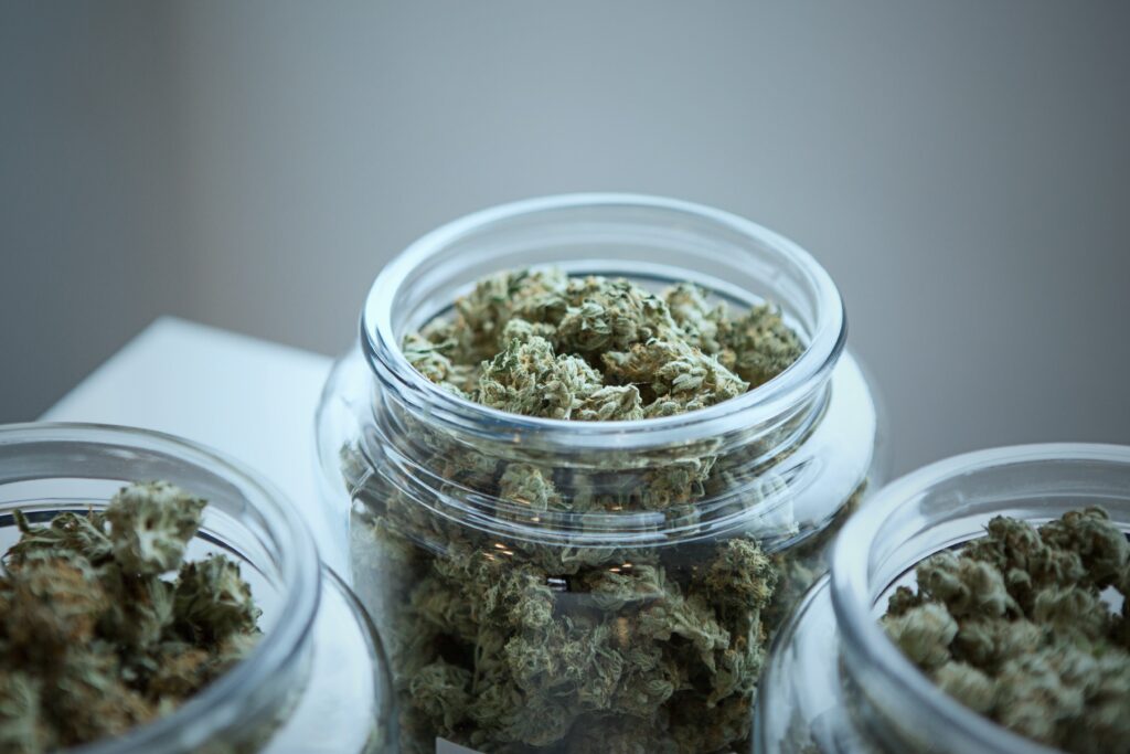 cannabis dried in a jar